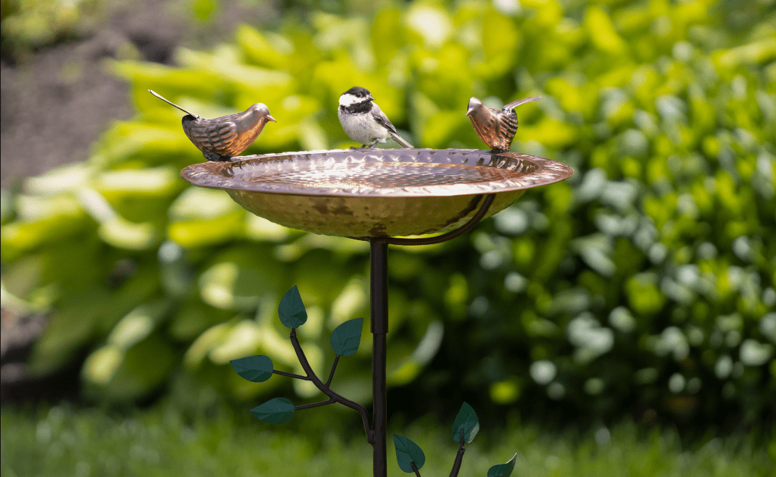 Birdhouses, Feeders, and Baths: A Guide to Backyard Birding - Evira