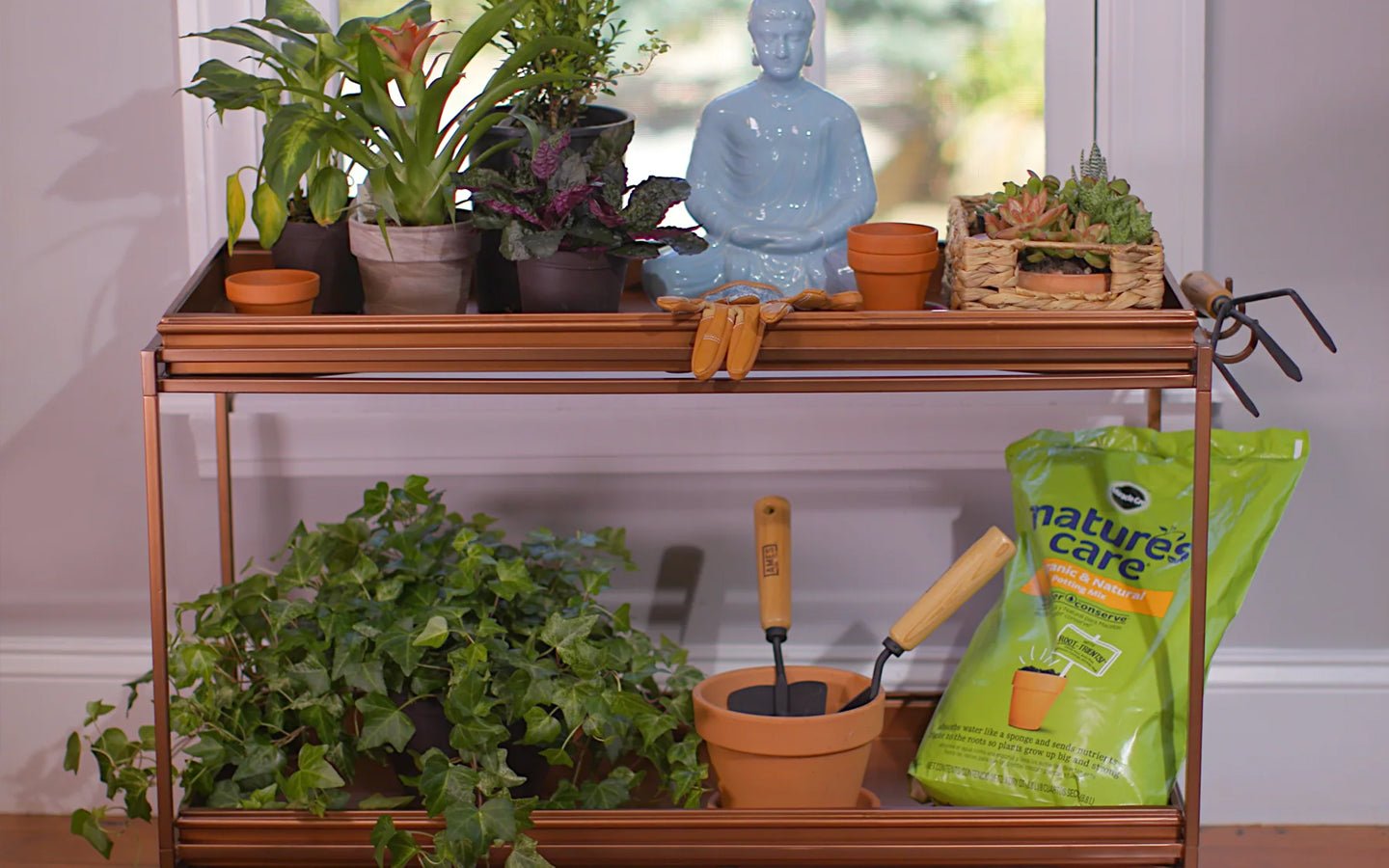 From Boots to Bloom - Transform Your Boot Tray into Stylish Indoor Plant Stand - Evira