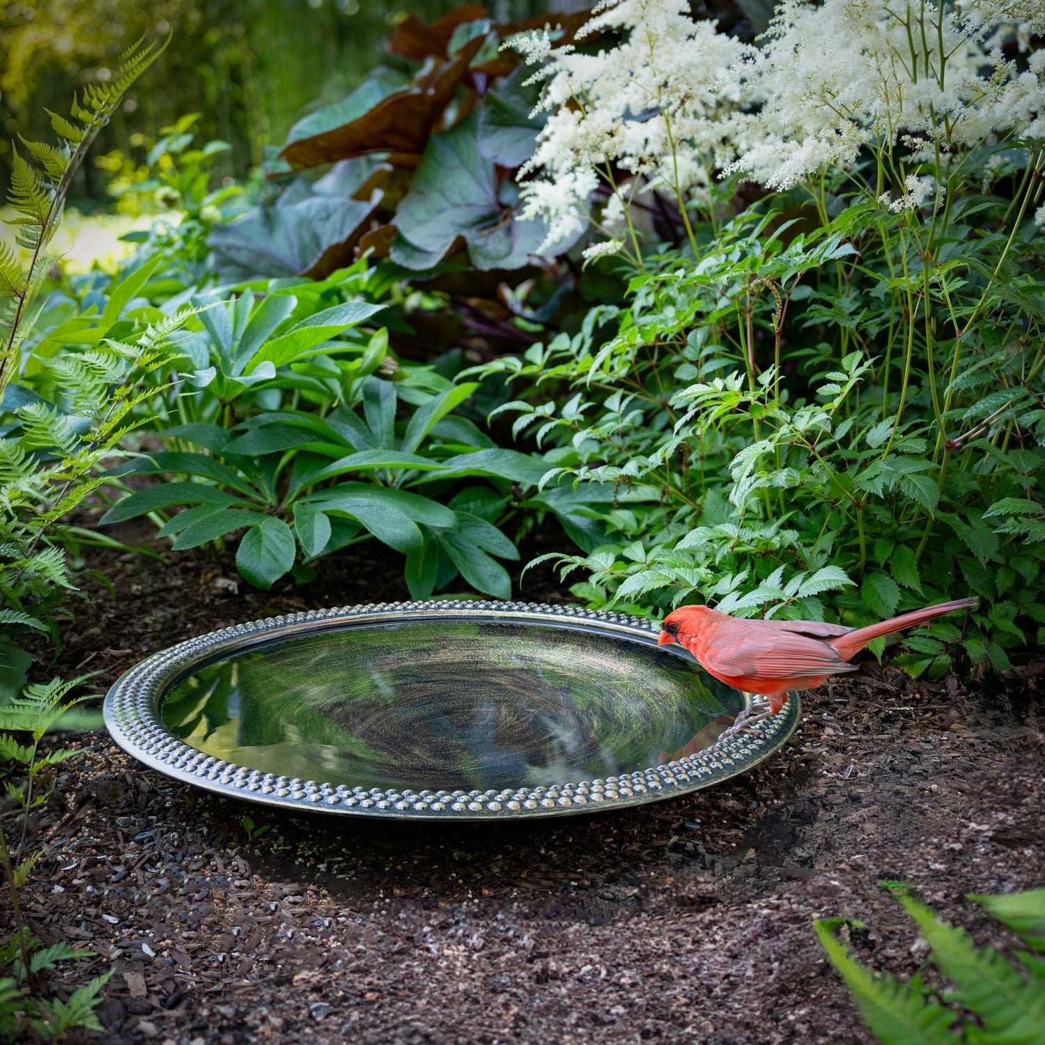18" Beaded Copper Bird Bath Basin in Aged Brass Finish - Evira