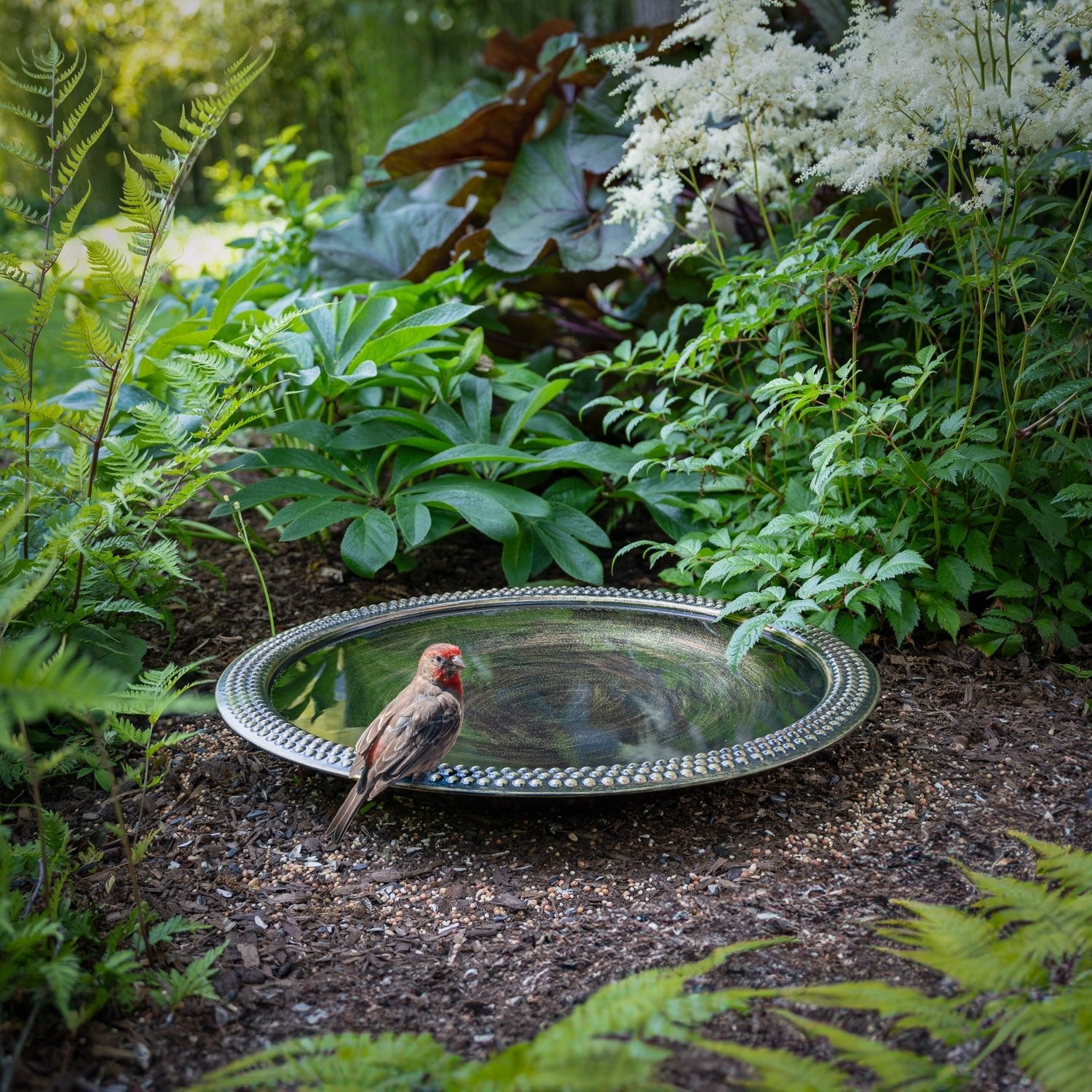 18" Beaded Copper Bird Bath Basin in Aged Brass Finish - Evira