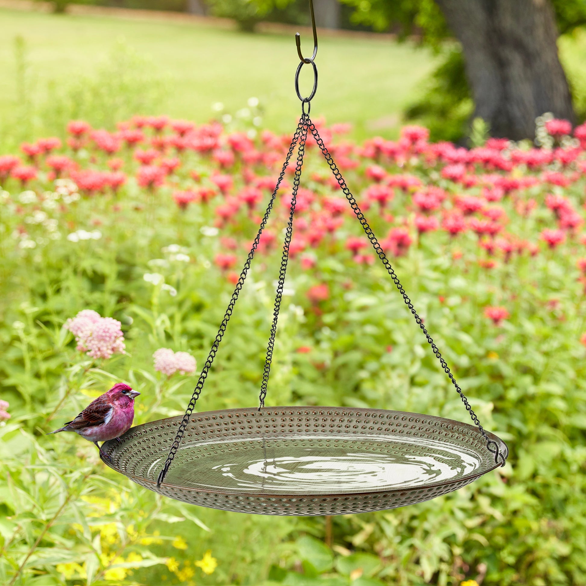 18" Hanging Blue Verde Copper Bird Bath - Evira