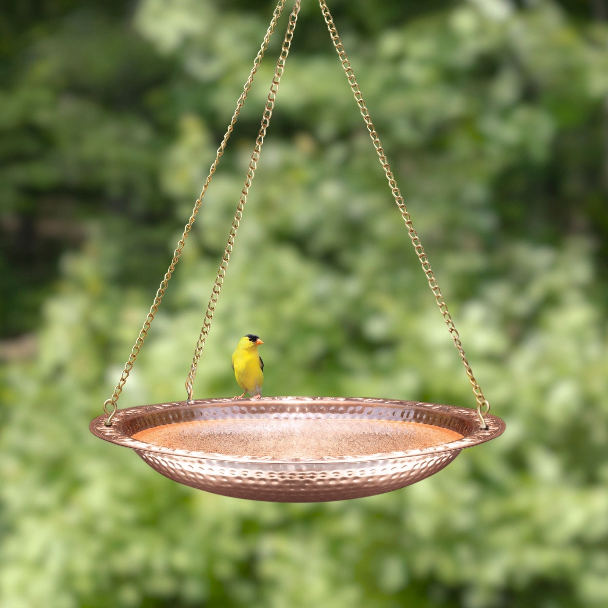 18" Hanging Pure Copper Bird Bath - Evira