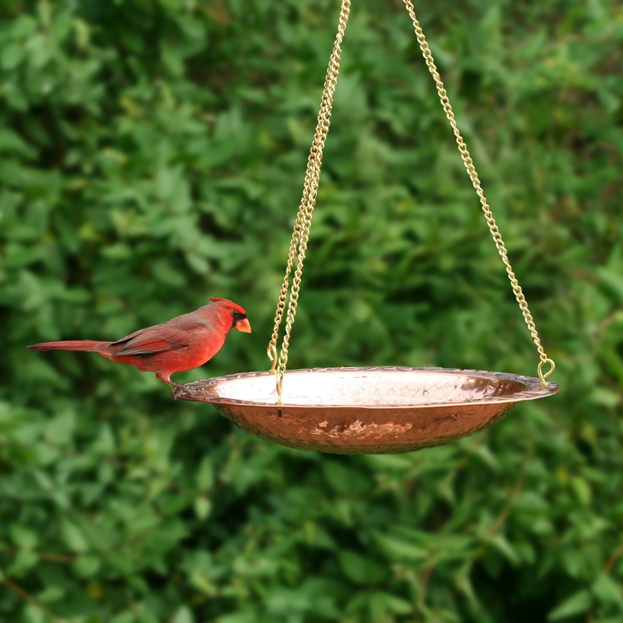 18" Hanging Pure Copper Bird Bath - Evira