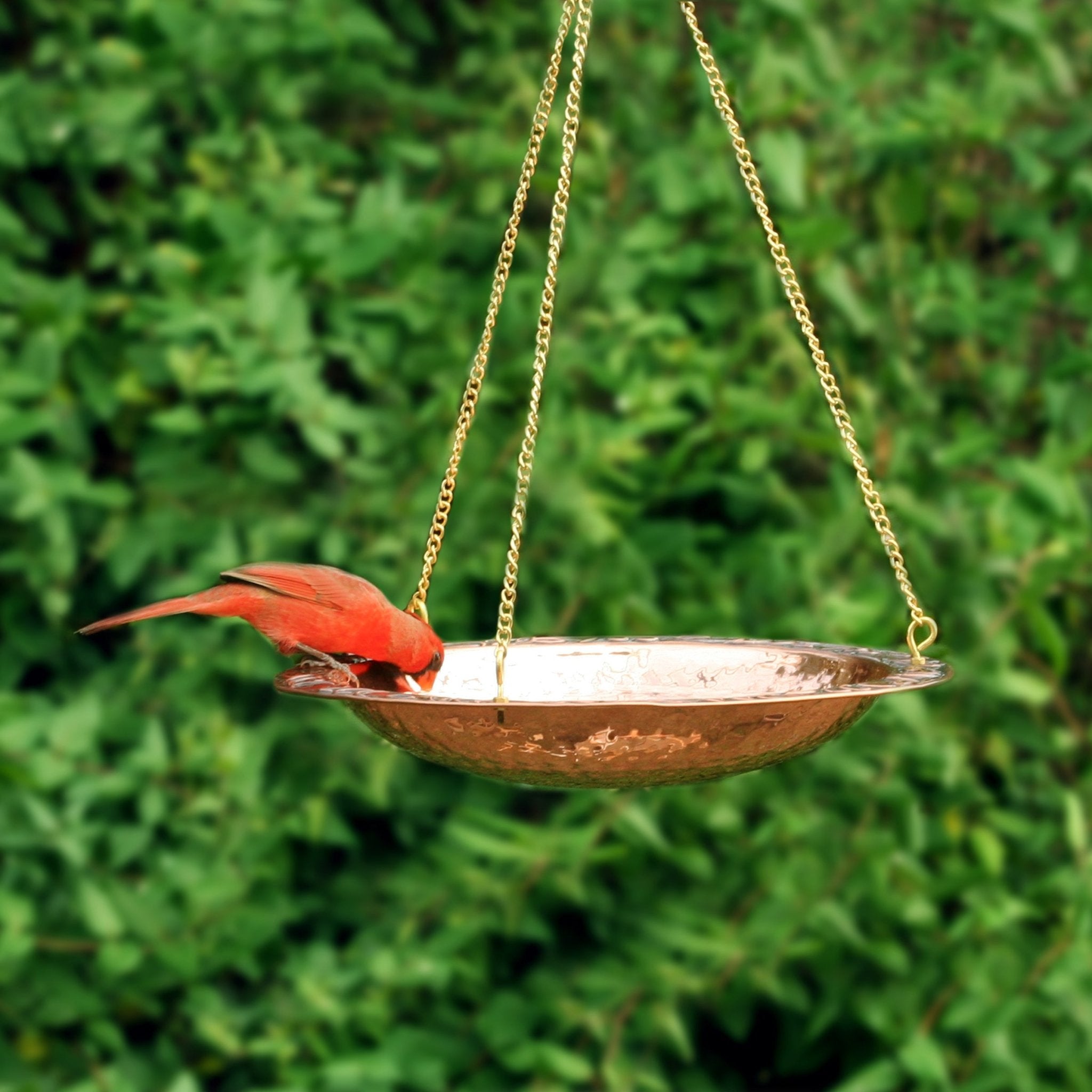 18" Hanging Pure Copper Bird Bath - Evira