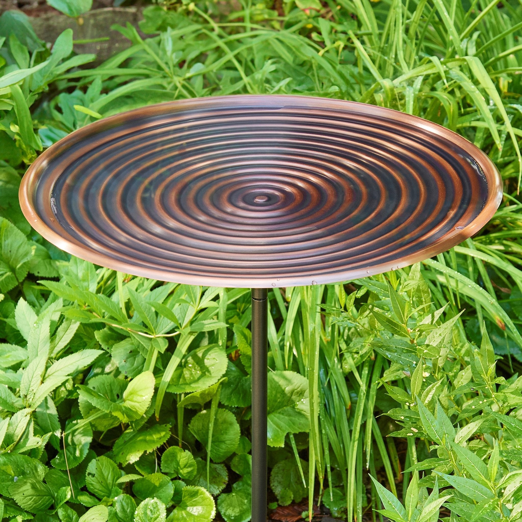 20" Bronze Finish Ripples Copper Bird Bath with Garden Pole - Evira