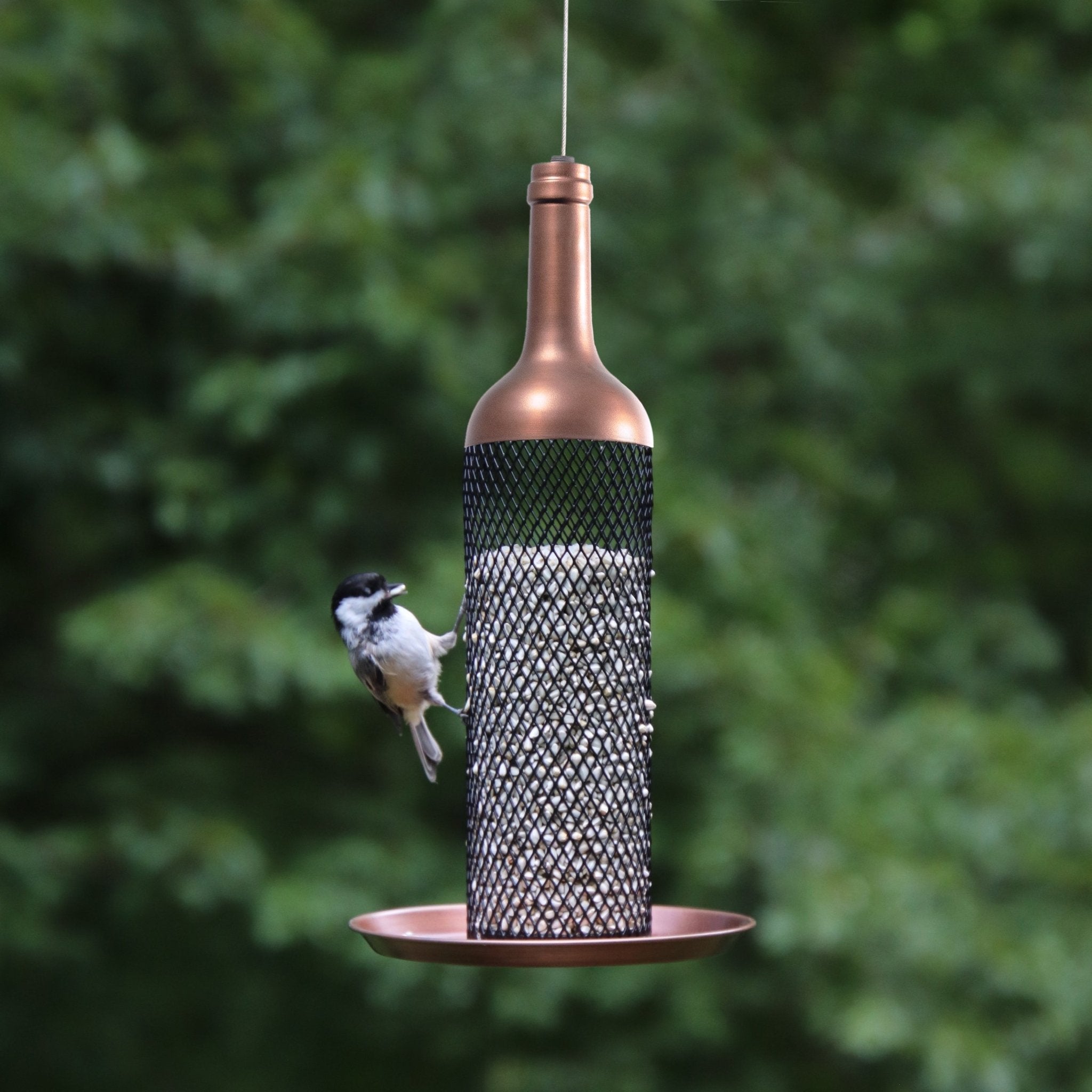 Vineyard Select Bird Feeder - Evira