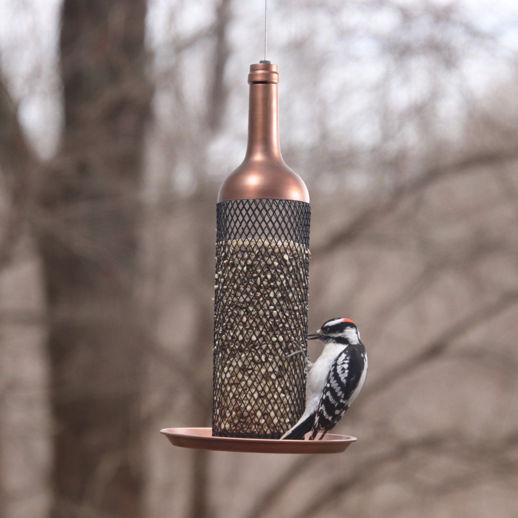 Vineyard Select Bird Feeder - Evira