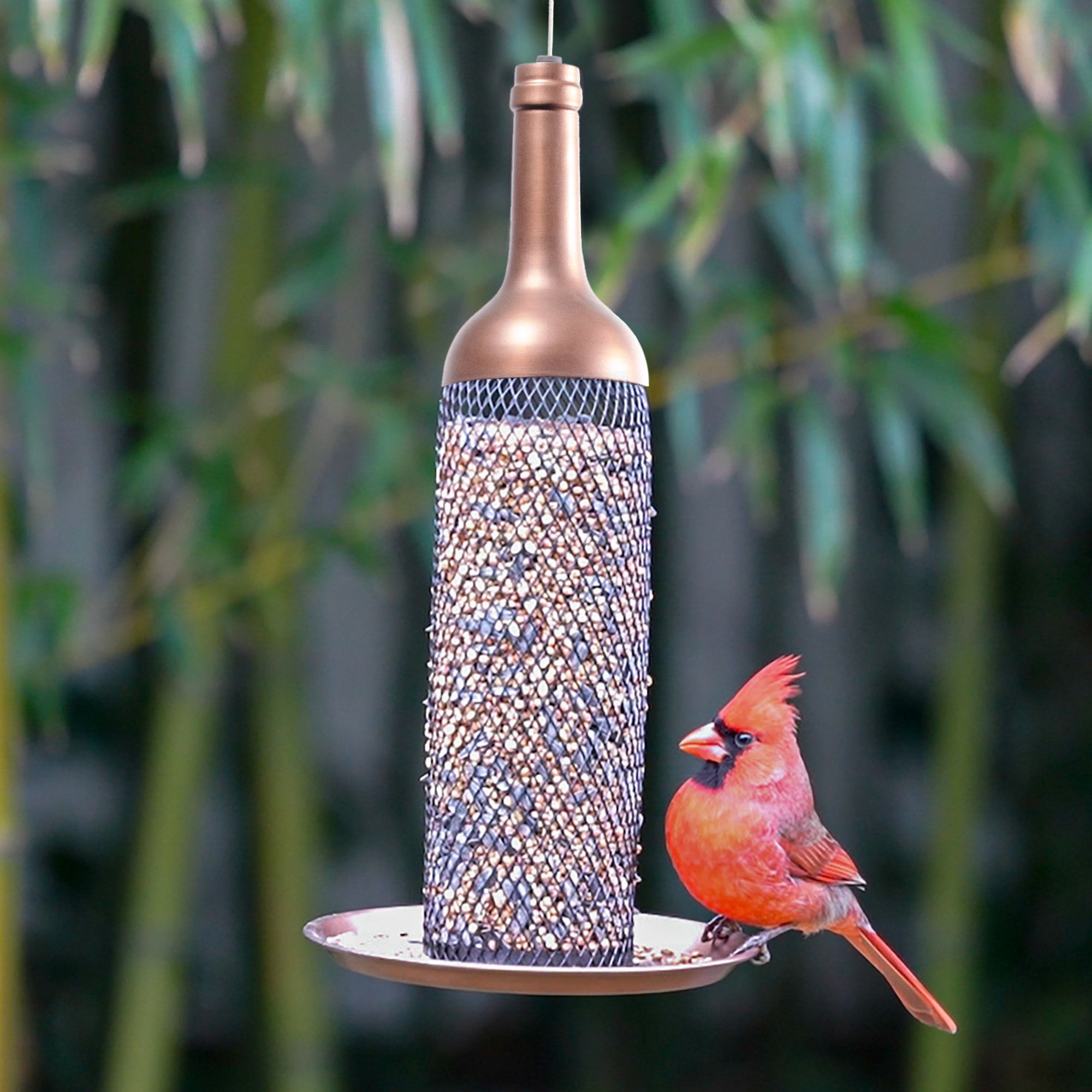 Vineyard Select Bird Feeder - Evira