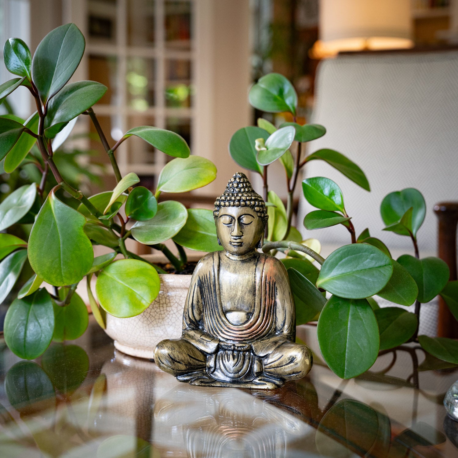 Meditating Buddha Decorative Statue - Evira
