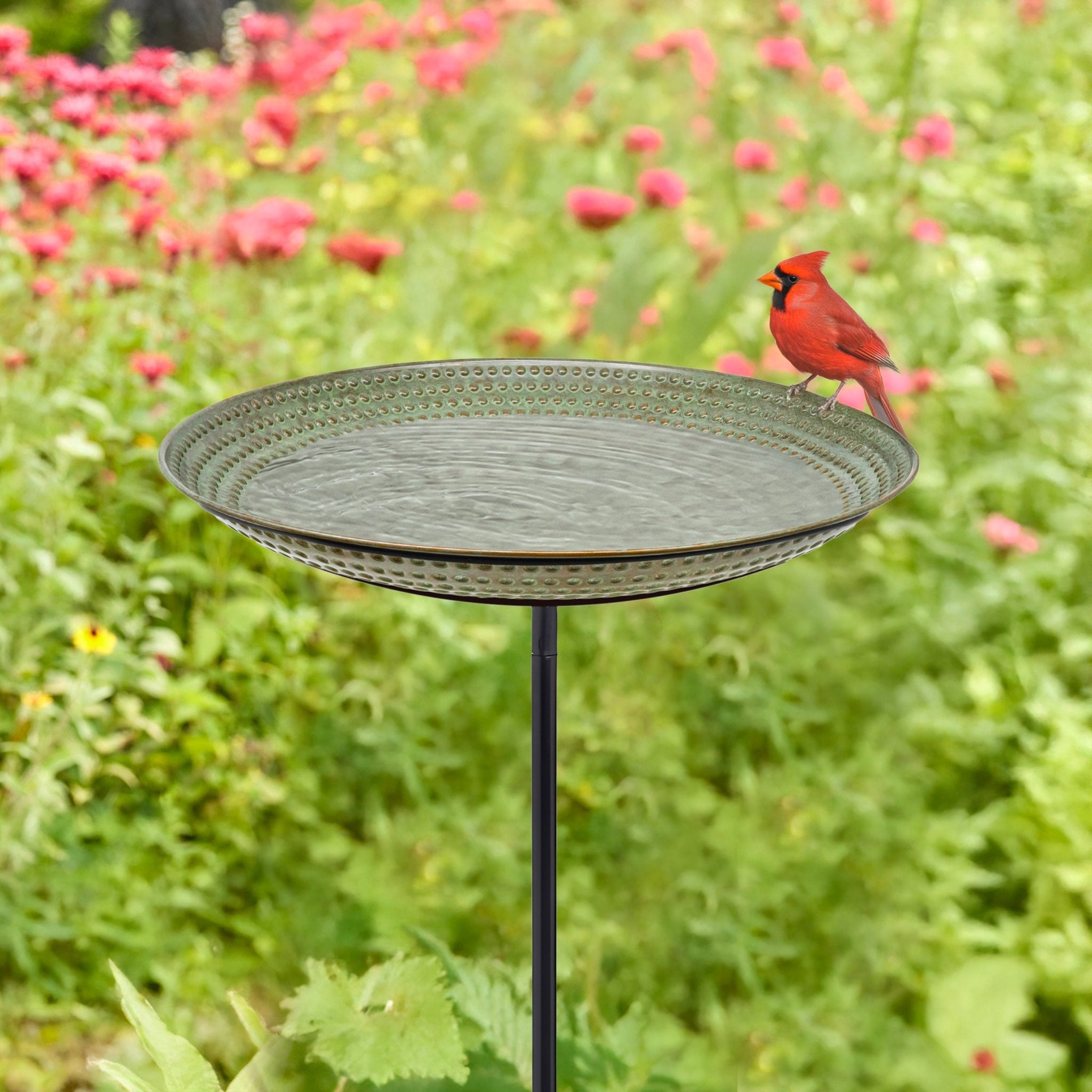 Beaded Copper Birdbath with Garden Pole, 18"D - Blue Verde Finish - Evira