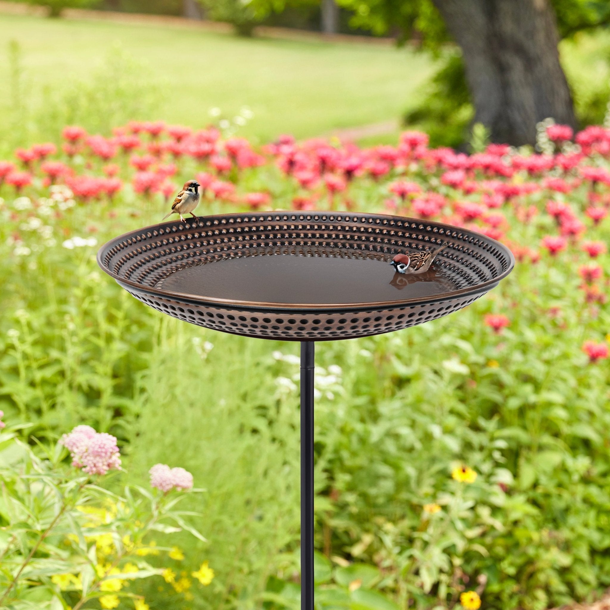 Beaded Copper Birdbath with Garden Pole, 18"D - Bronze Finish - Evira
