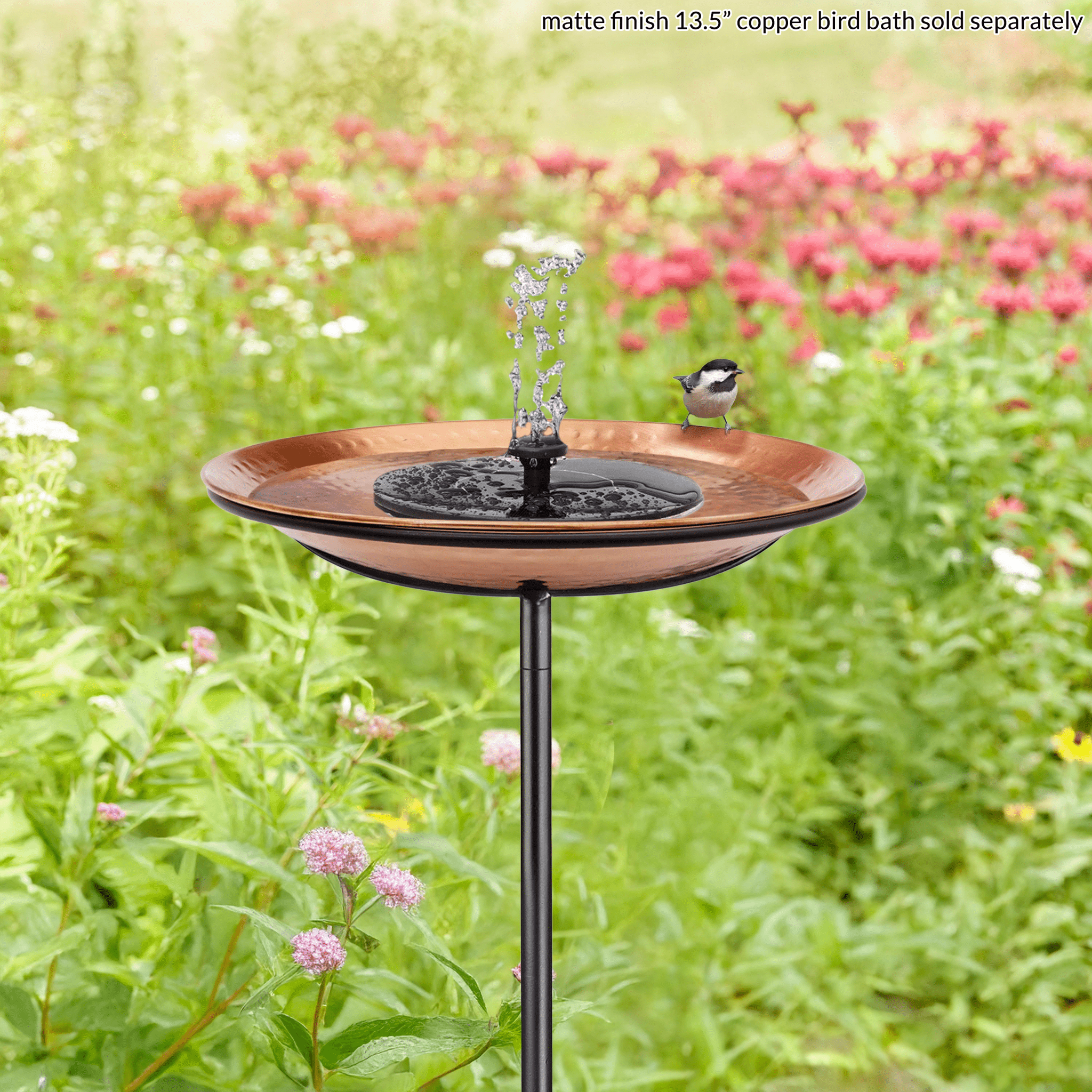 Bird Bath Fountain - Evira