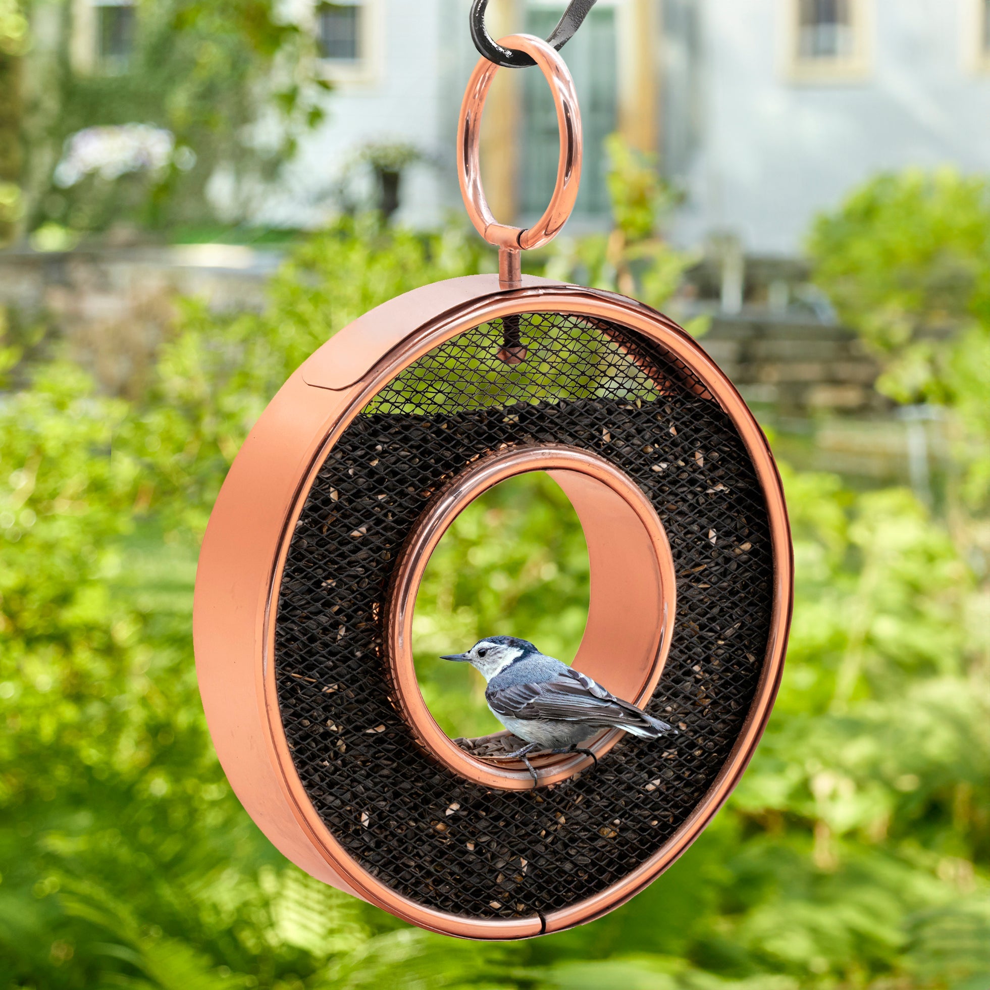 Copper Circle Fly - Thru Copper Bird Feeder with Mesh Panels - Evira