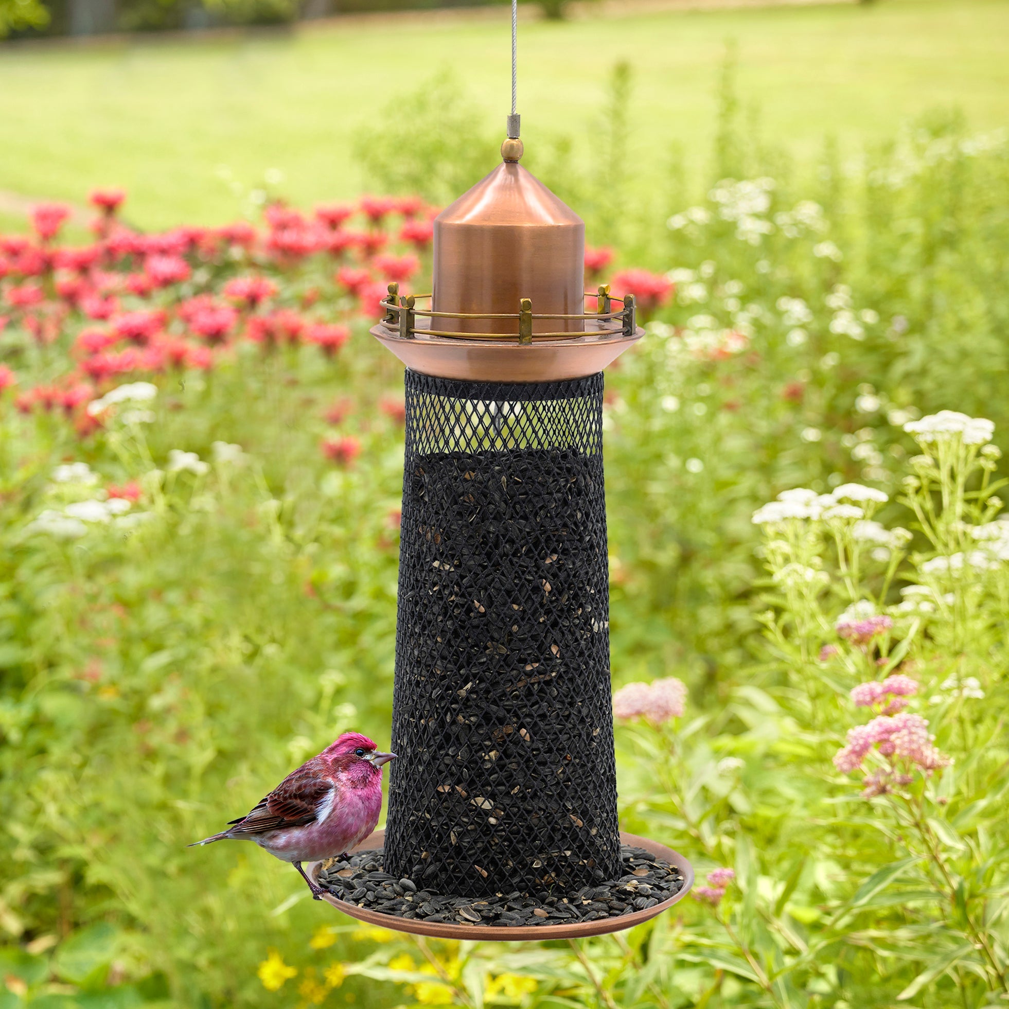 Copper Lighthouse Bird Feeder with Mesh Panels - Evira