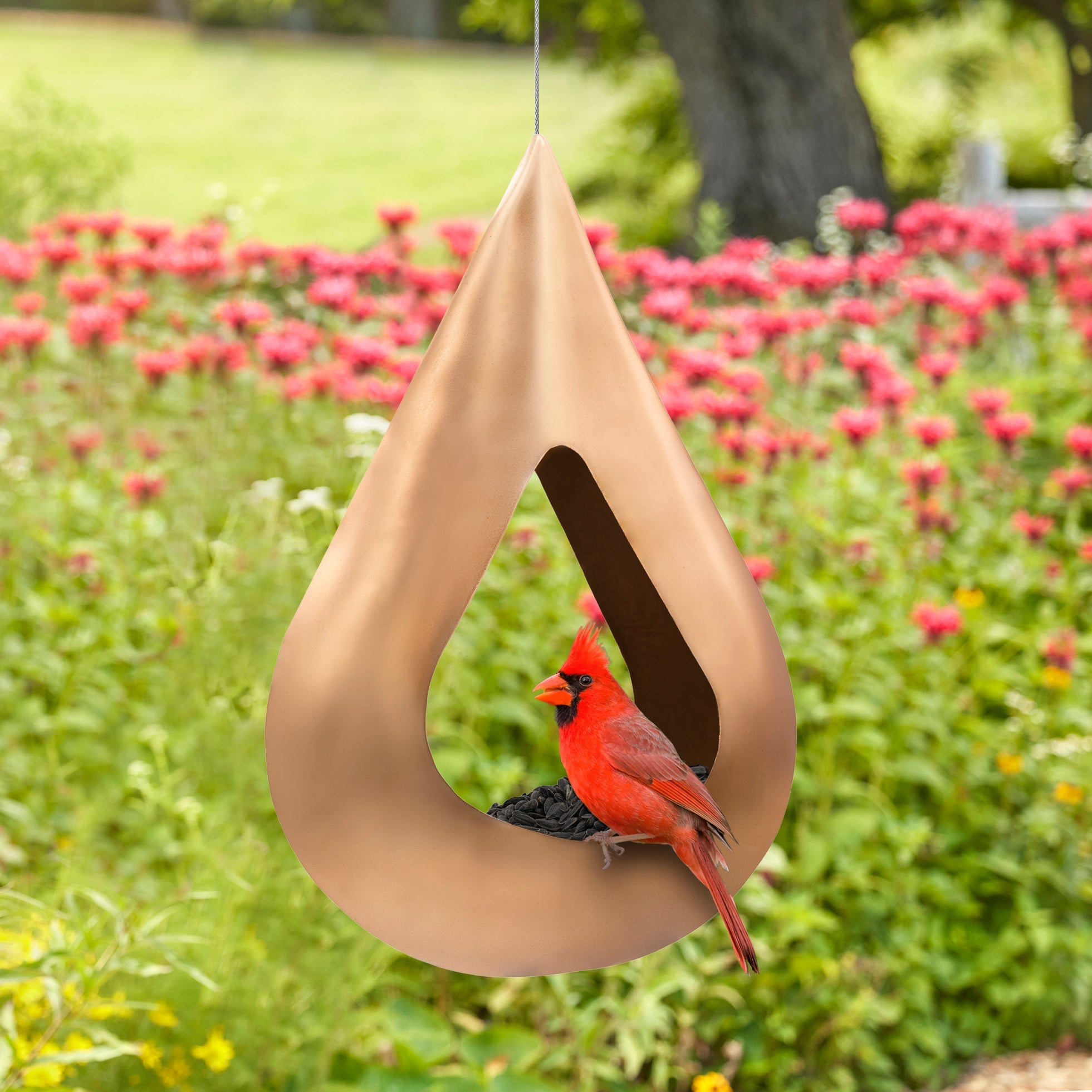 Copper Rain Drop Fly - Thru Bird Feeder - Evira