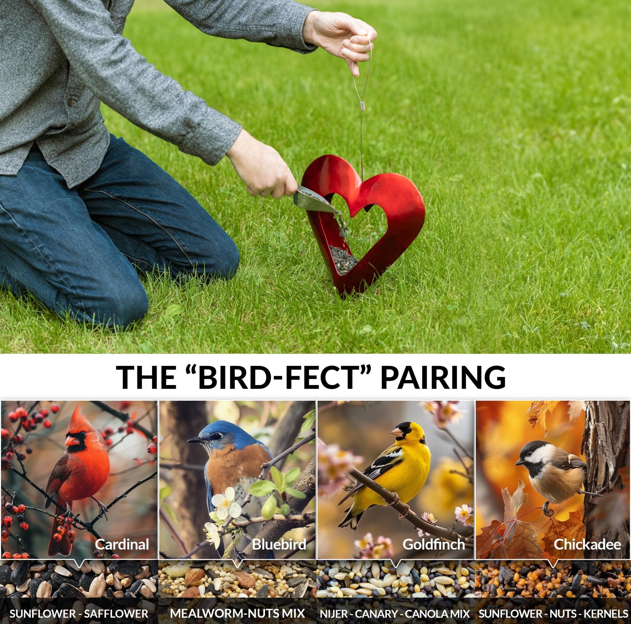 Fly Thru™ Red Heart Copper Bird Feeder - Evira