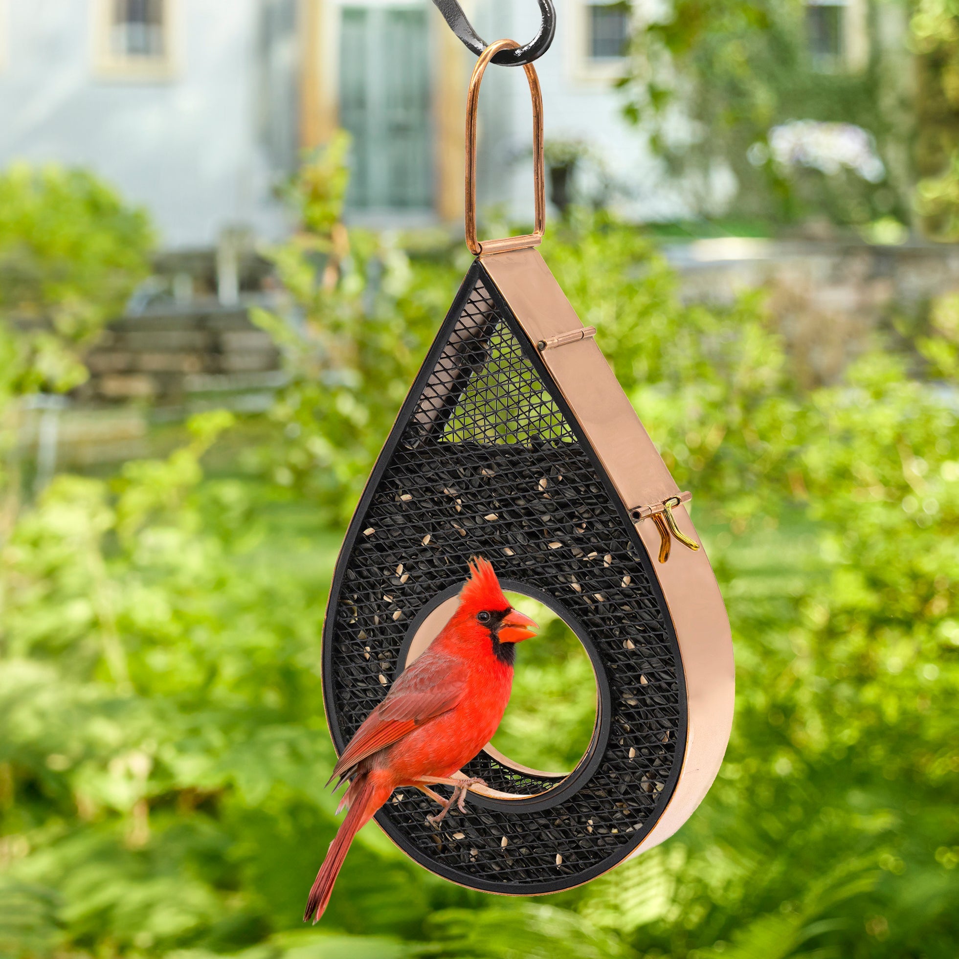 Rain Drop Fly - Thru Copper Bird Feeder Mesh Panels - Evira