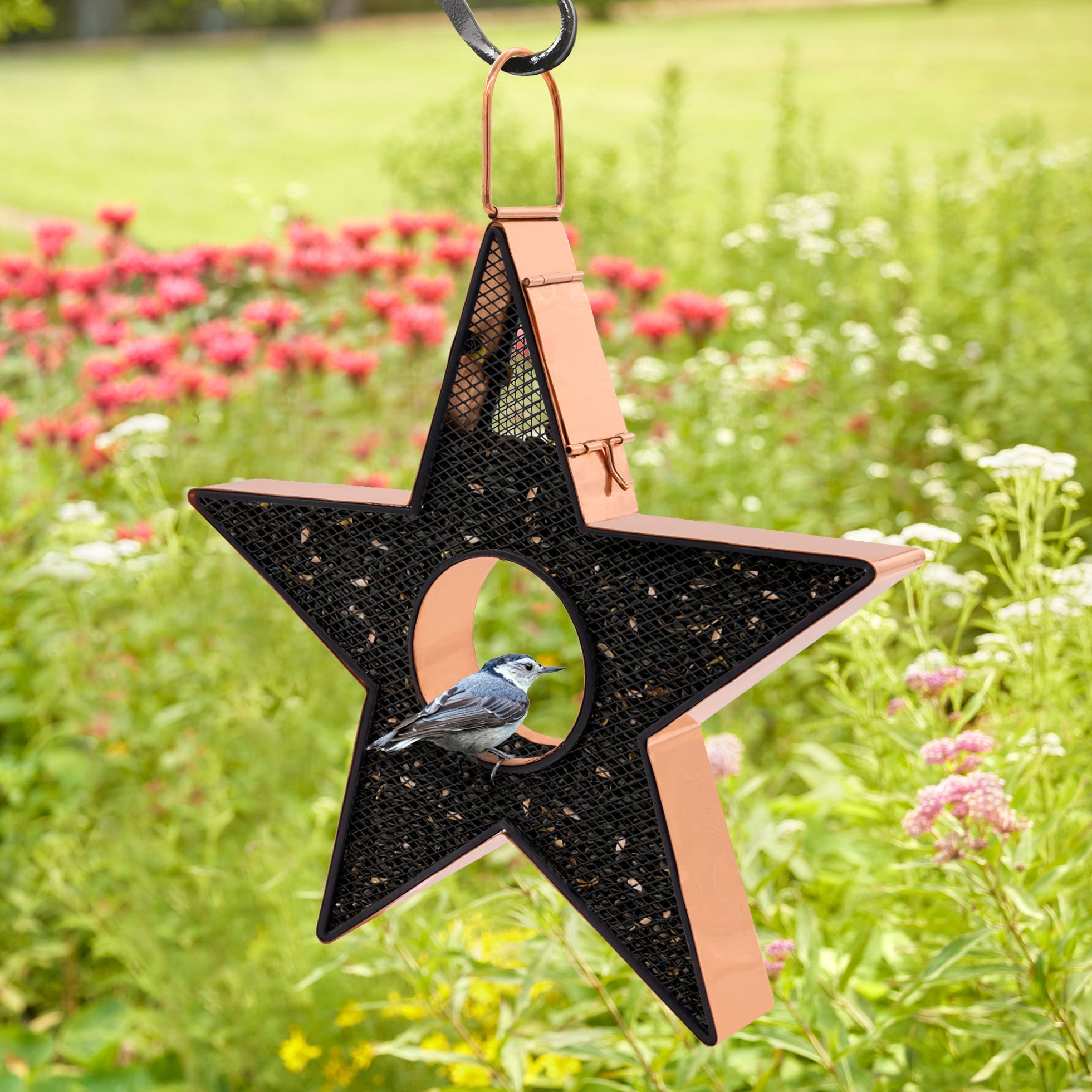 Star Fly - Thru™ Copper Bird Feeder Mesh Panels - Evira