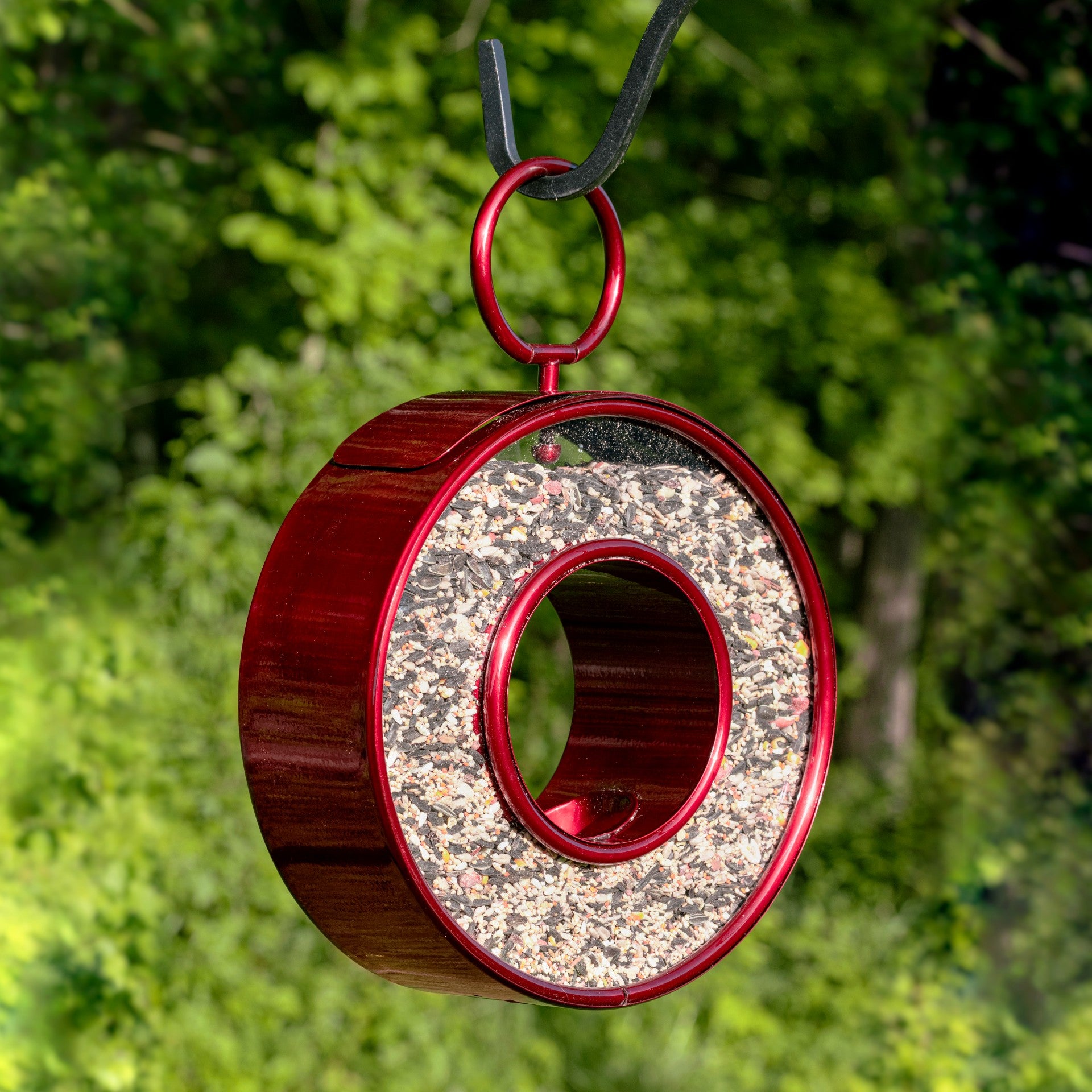 Just In Time Fly-Thru™ Ruby Red Bird Feeder - Evira