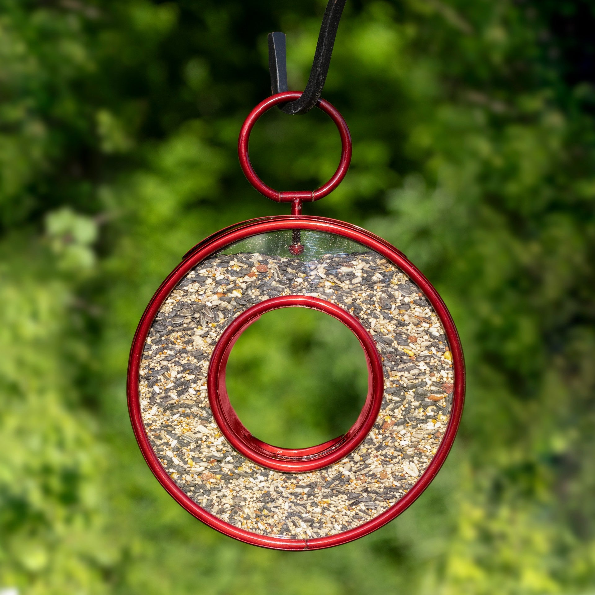 Just In Time Fly-Thru™ Ruby Red Bird Feeder - Evira