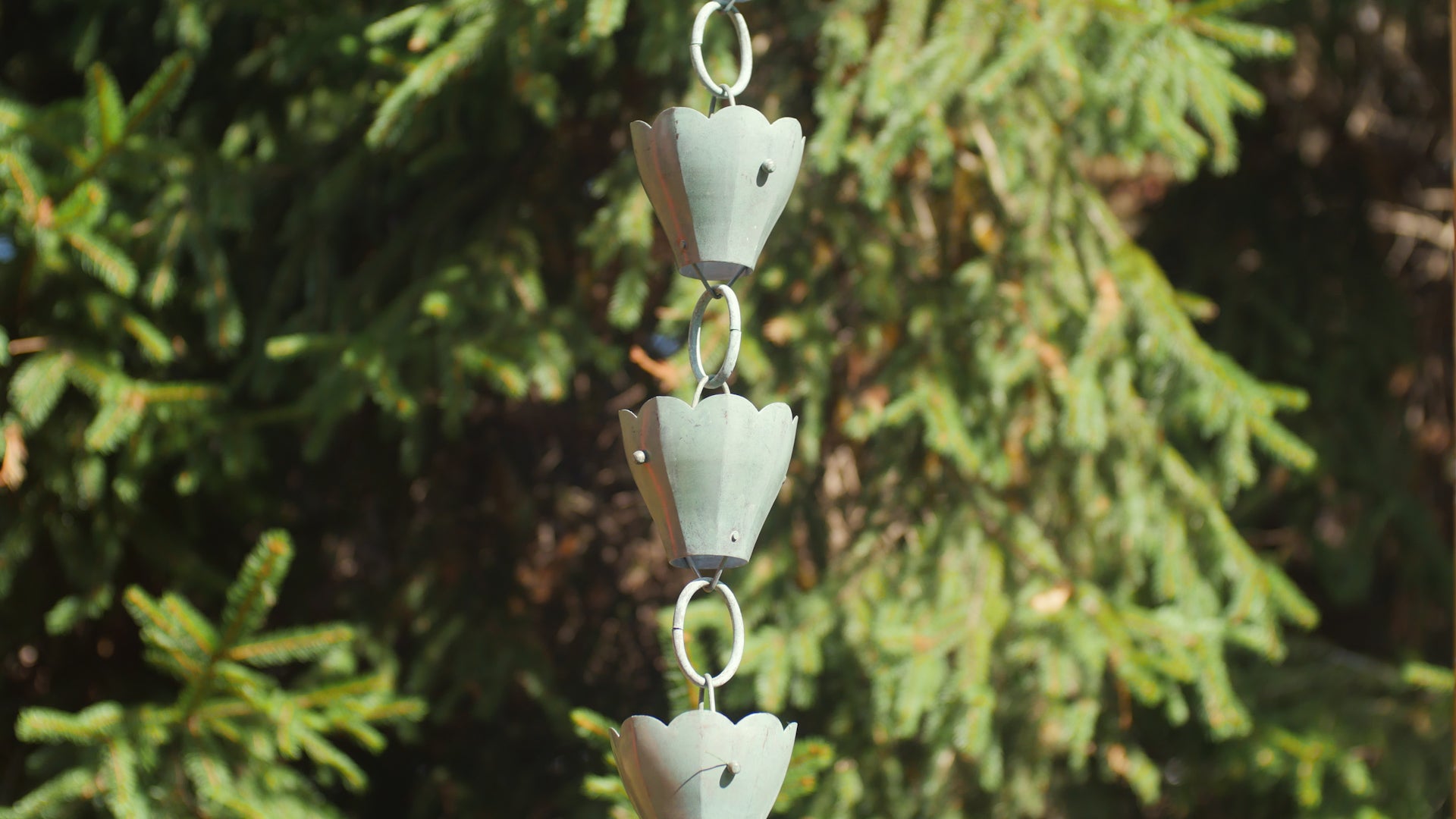 Tulip Rain Chain - 8.5 ft., with 13 Large Cups - Evira