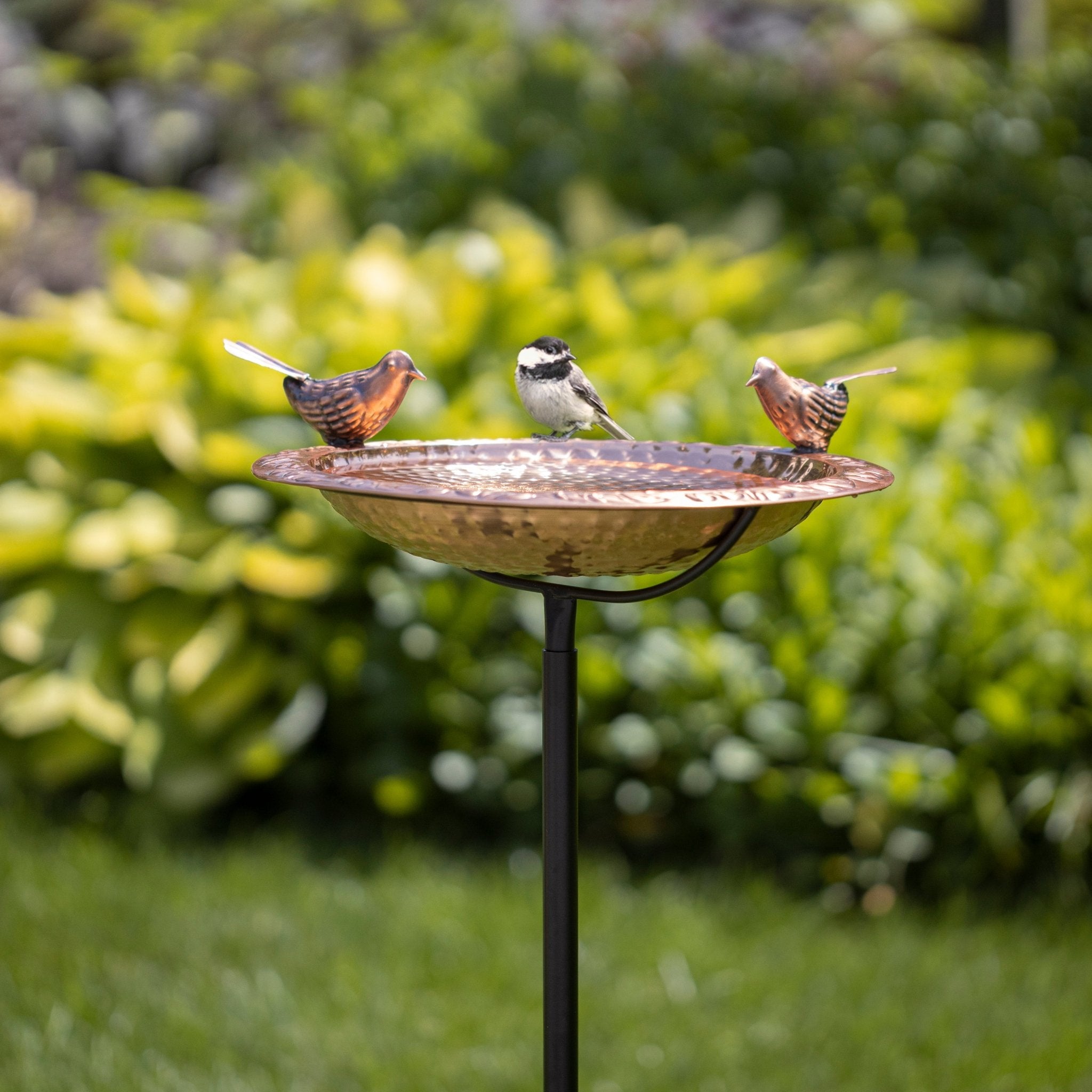 13.5“� Birdbath with Copper Birds and Garden Pole - Evira