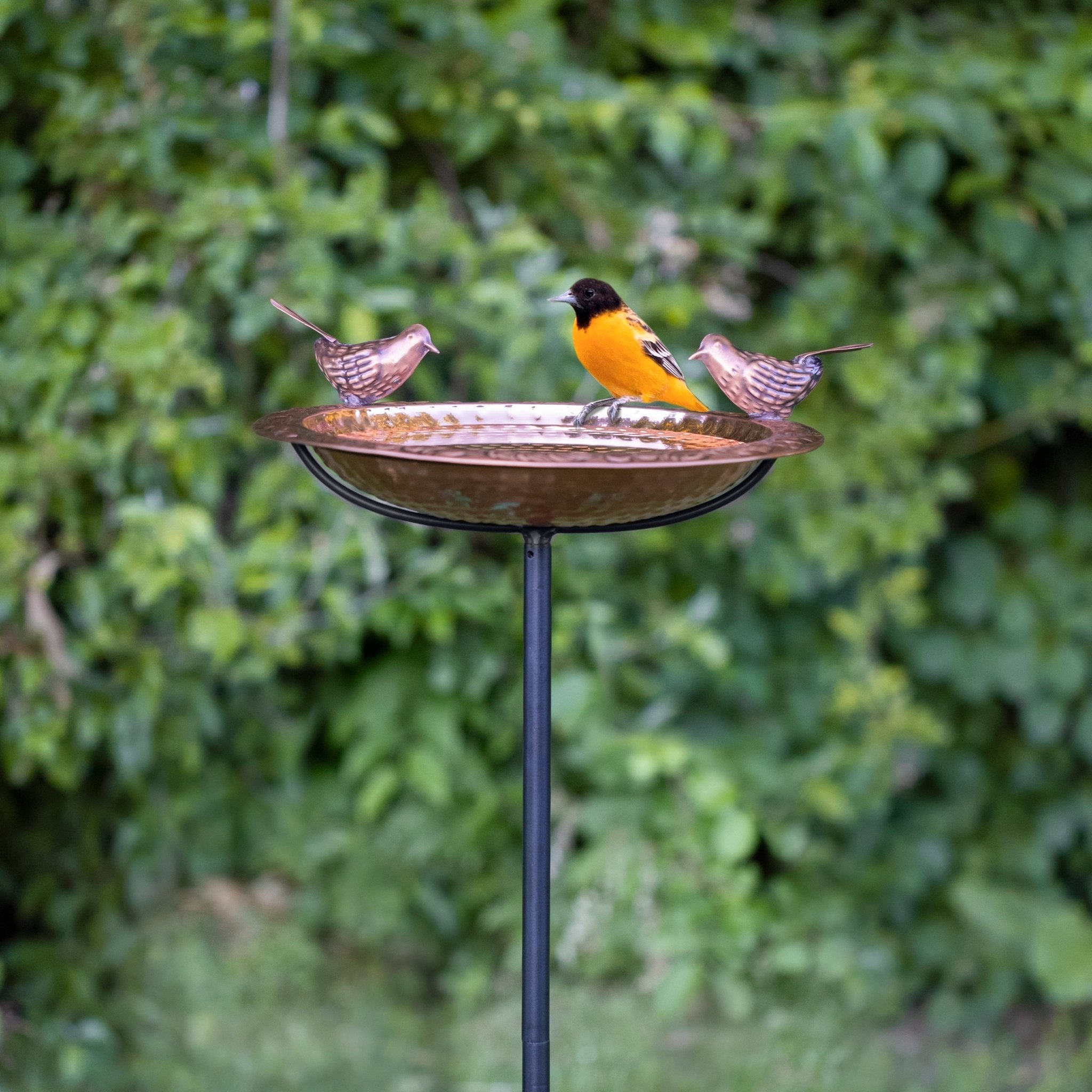 13.5“� Birdbath with Copper Birds and Garden Pole - Evira