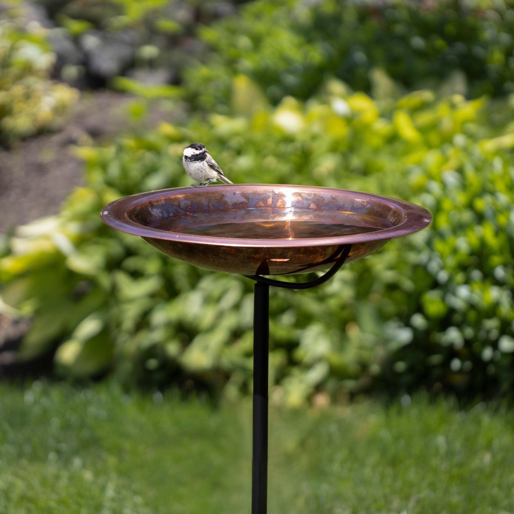 13.5“� Fired Finish Birdbath with Garden Pole - Evira