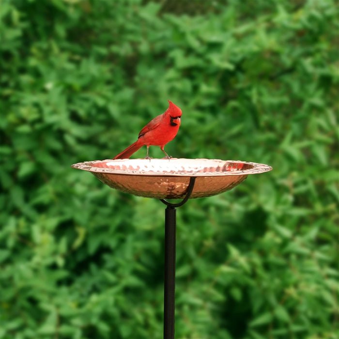 13.5“� Birdbath with Garden Pole - Evira