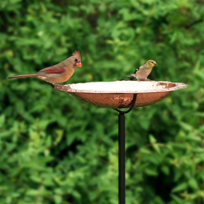 13.5“� Birdbath with Garden Pole - Evira
