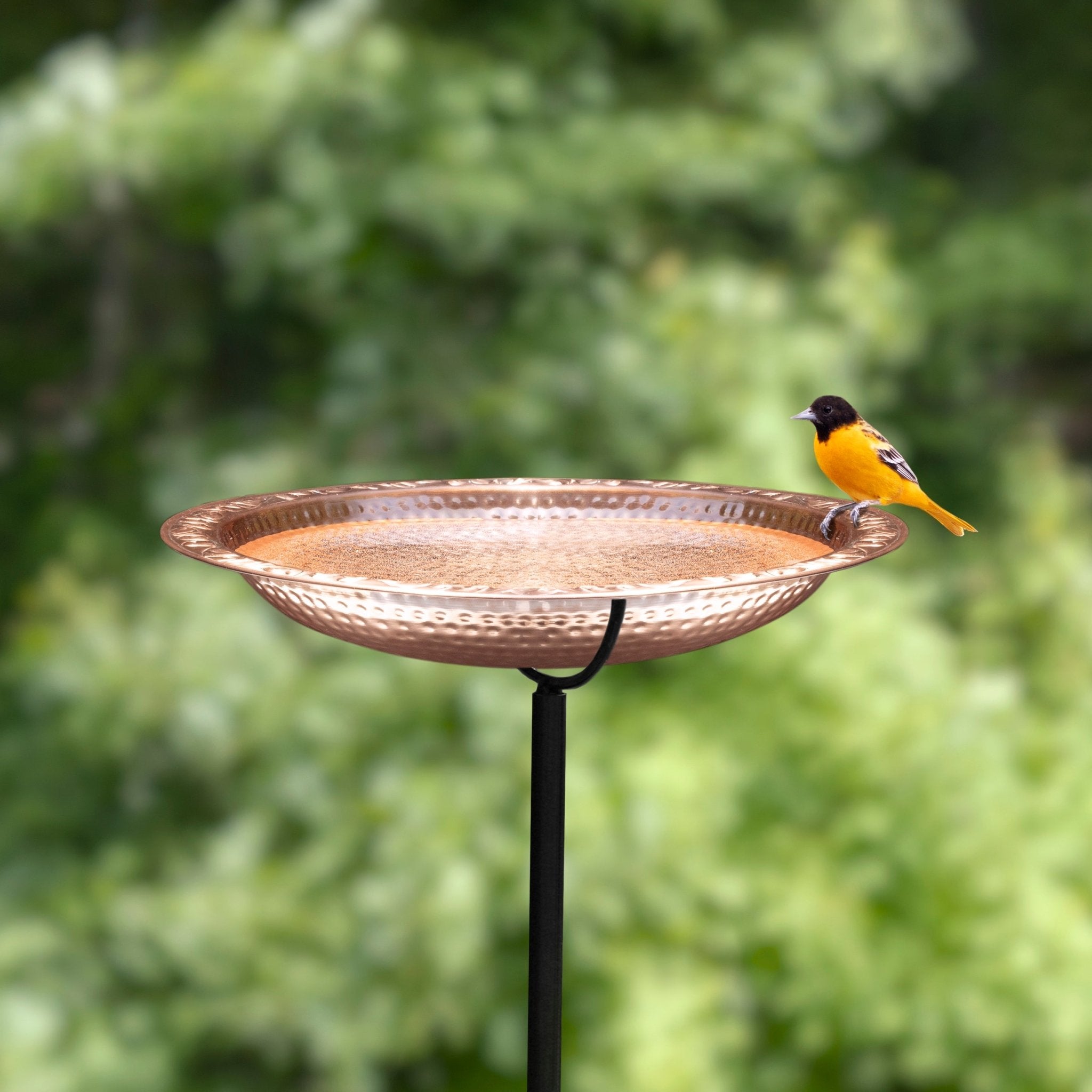 18“� Birdbath with Garden Pole - Evira