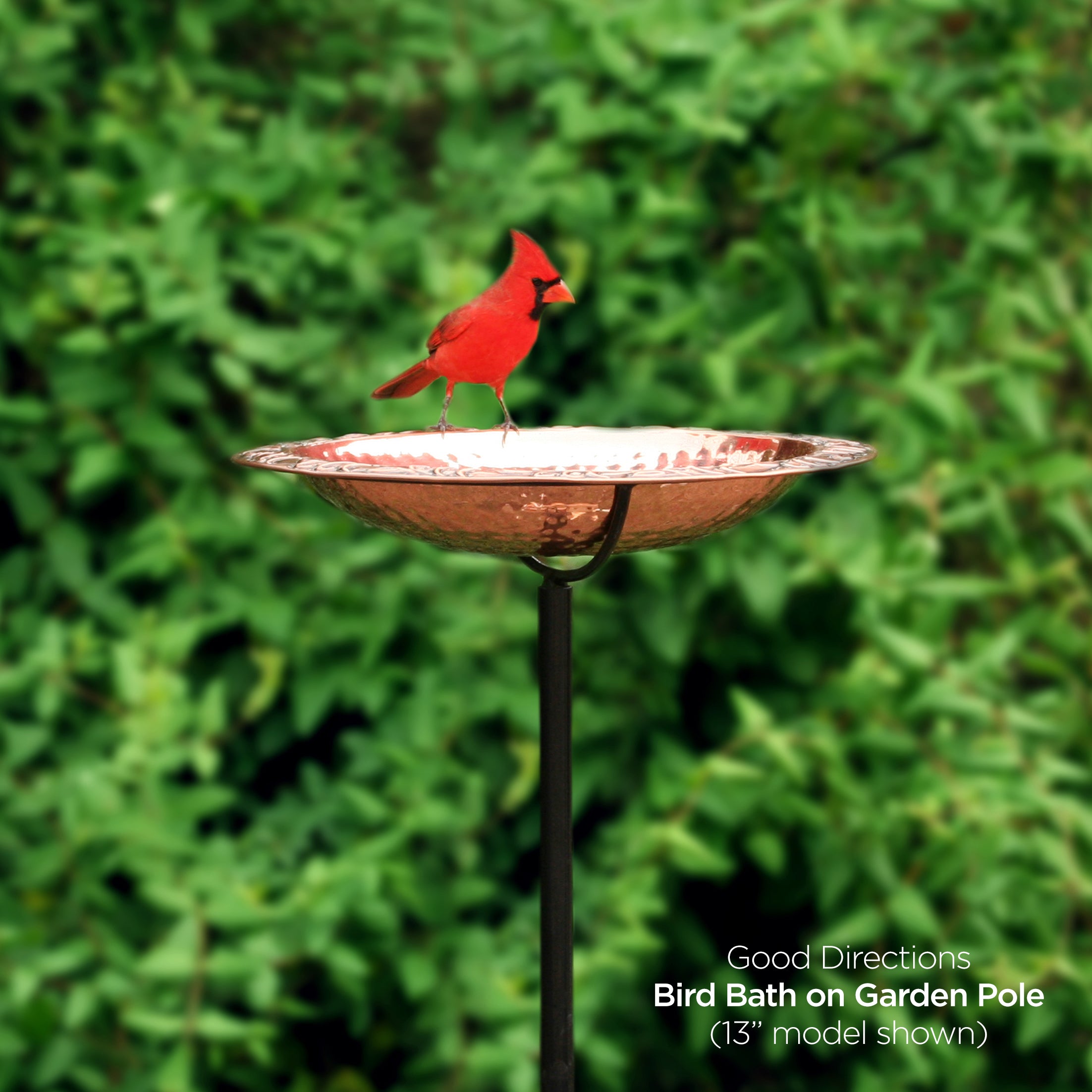 18“� Birdbath with Garden Pole - Evira