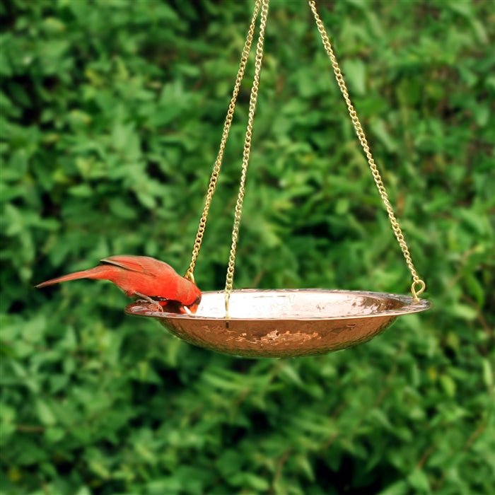13.5“� Hanging Birdbath - Evira