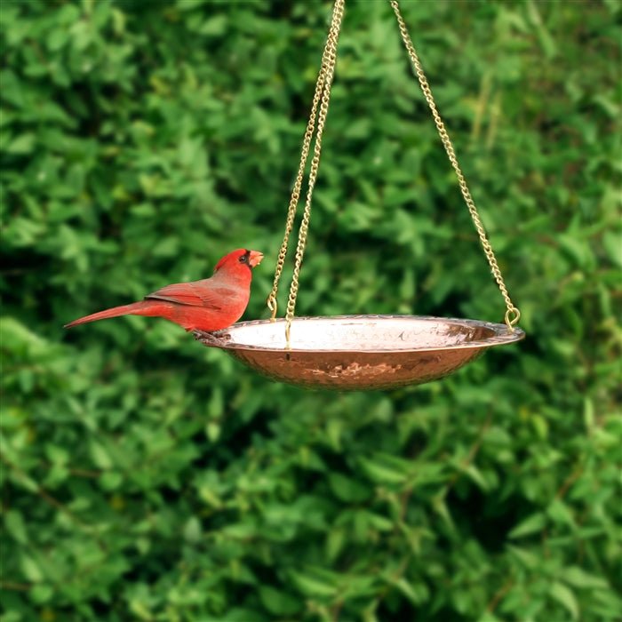13.5“� Hanging Birdbath - Evira