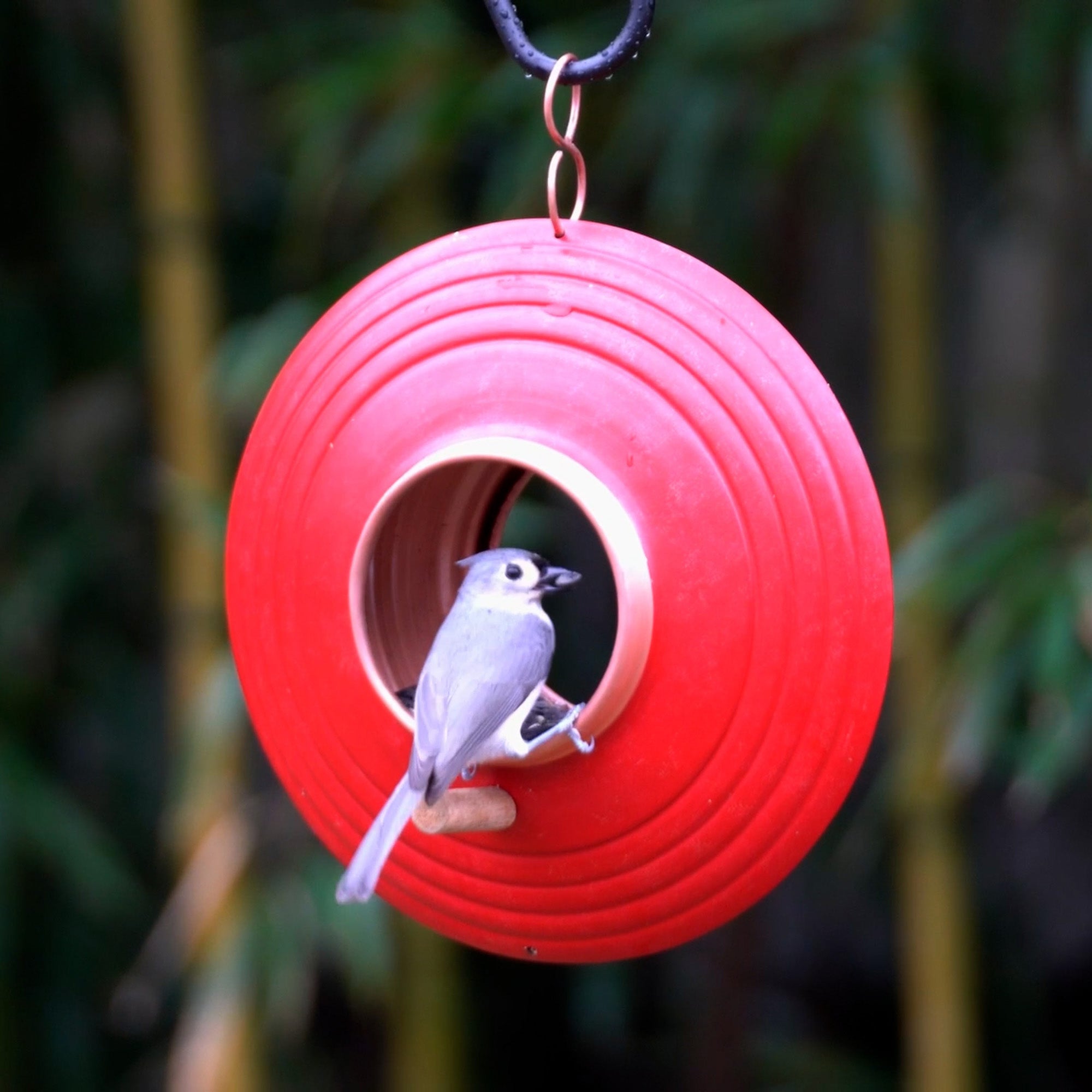 Mojave Fly Thru ™ Bird Feeder, Copper Accents, Multiple Perches - Evira