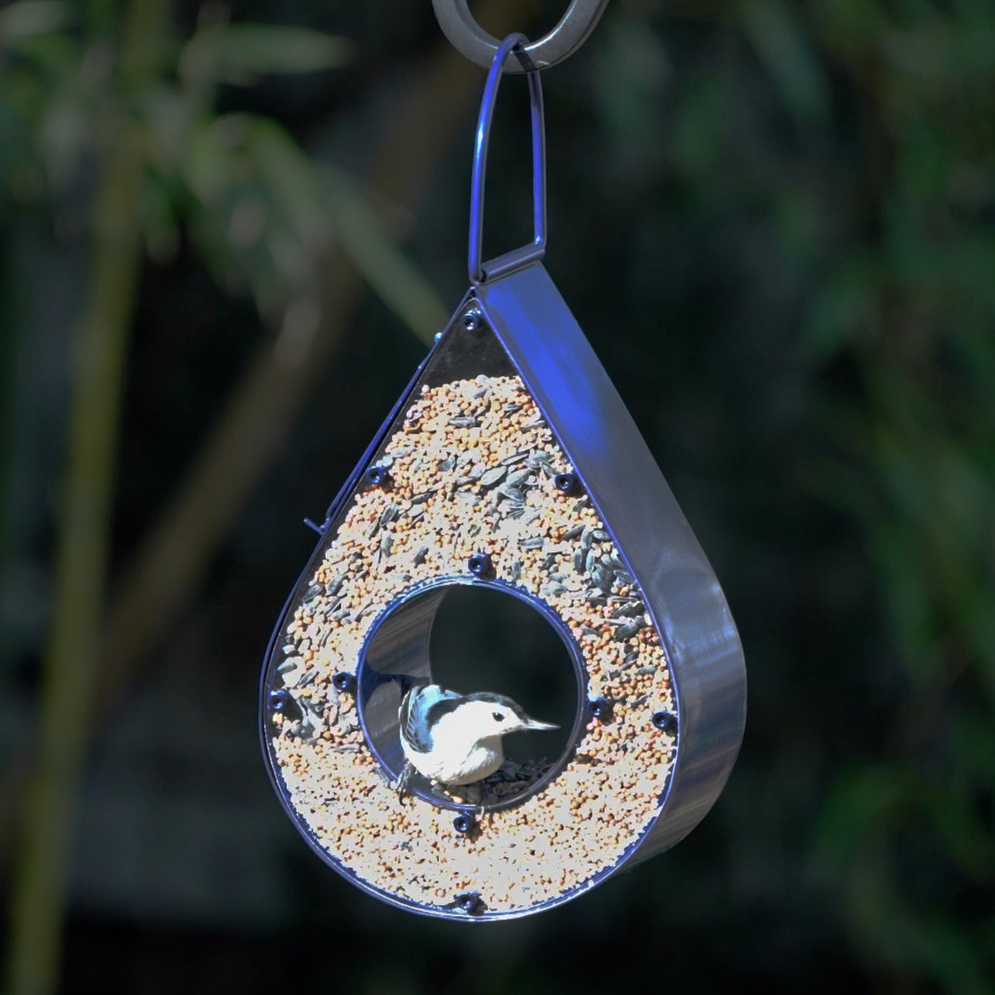 Rain Drop Fly-Thru Blue Bird Feeder - Evira