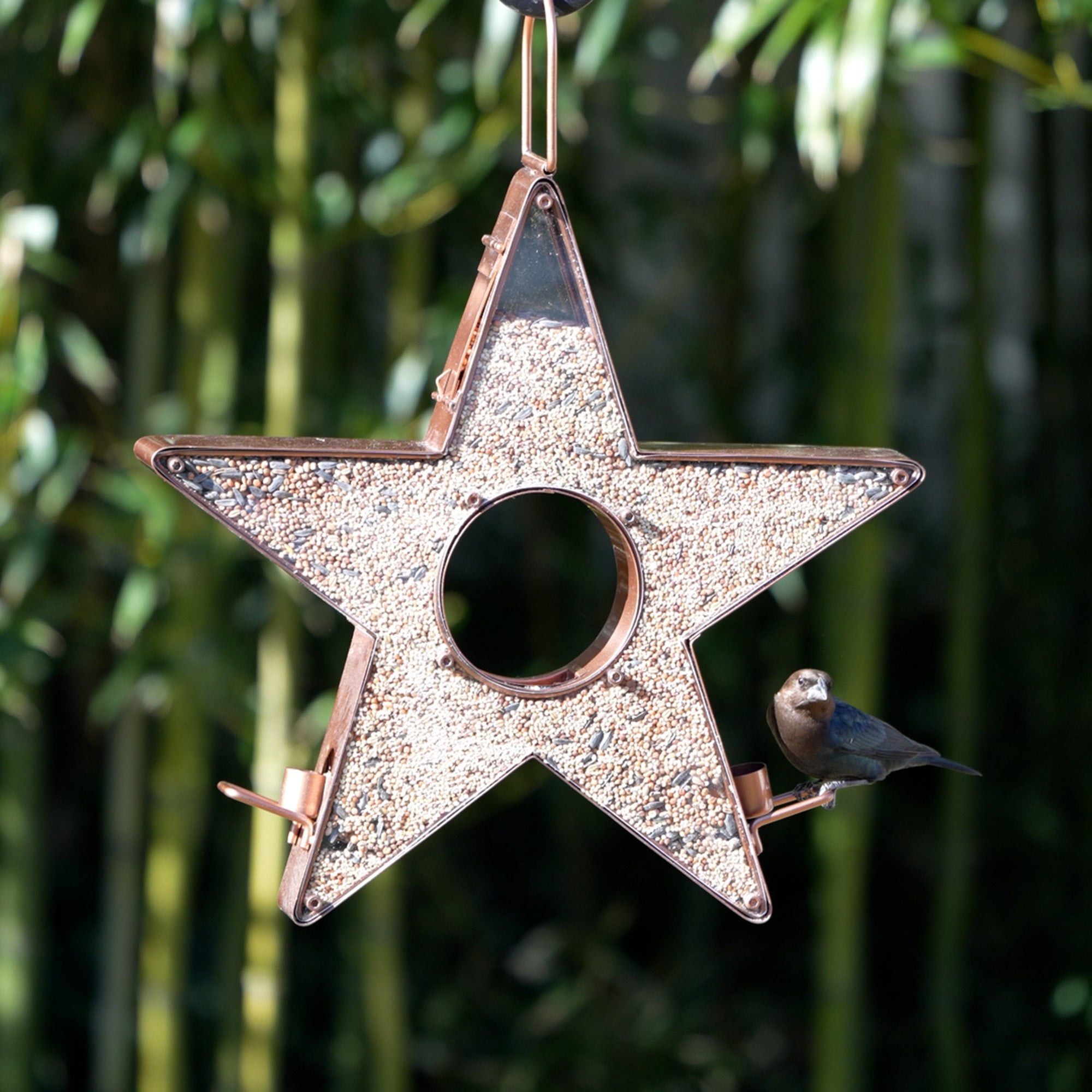 Star Fly-Thru™ Bird Feeder - Evira