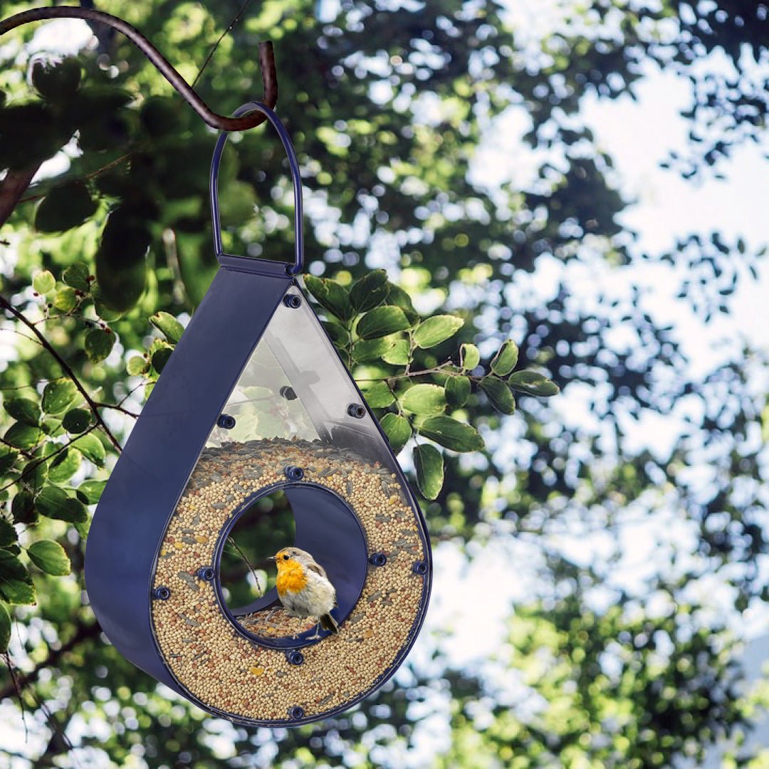 Rain Drop Fly-Thru Blue Bird Feeder - Evira