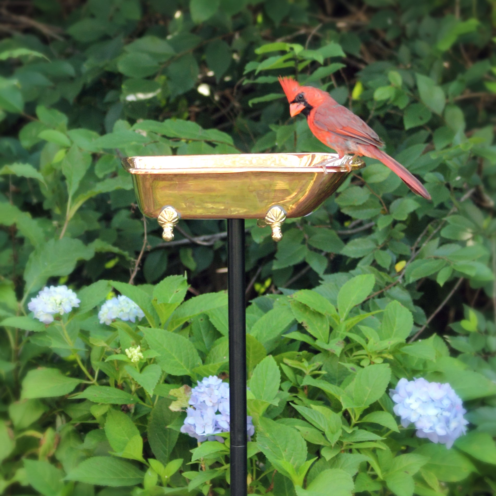 Splish Splash Birdbath, Copper - Evira