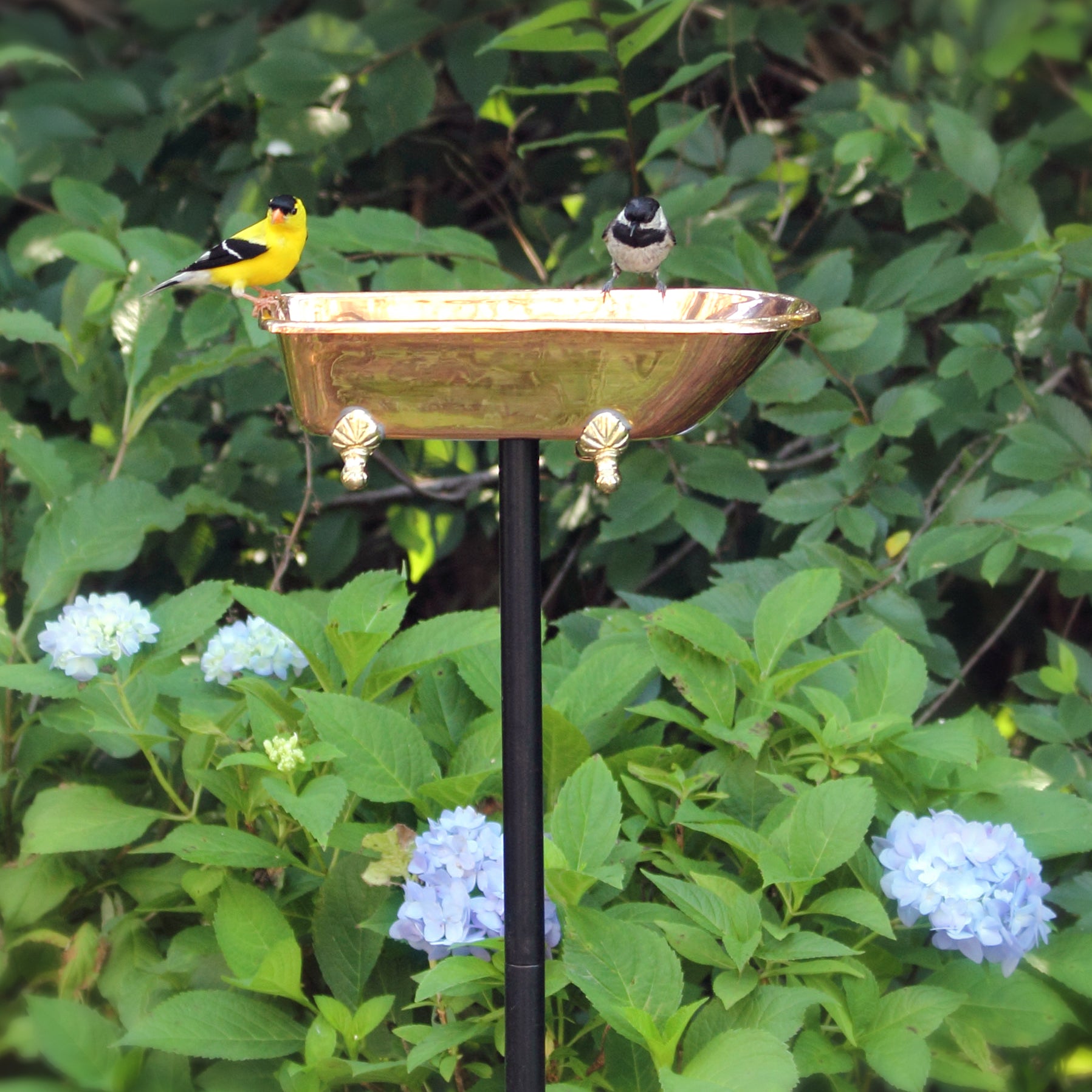 Splish Splash Birdbath, Copper - Evira
