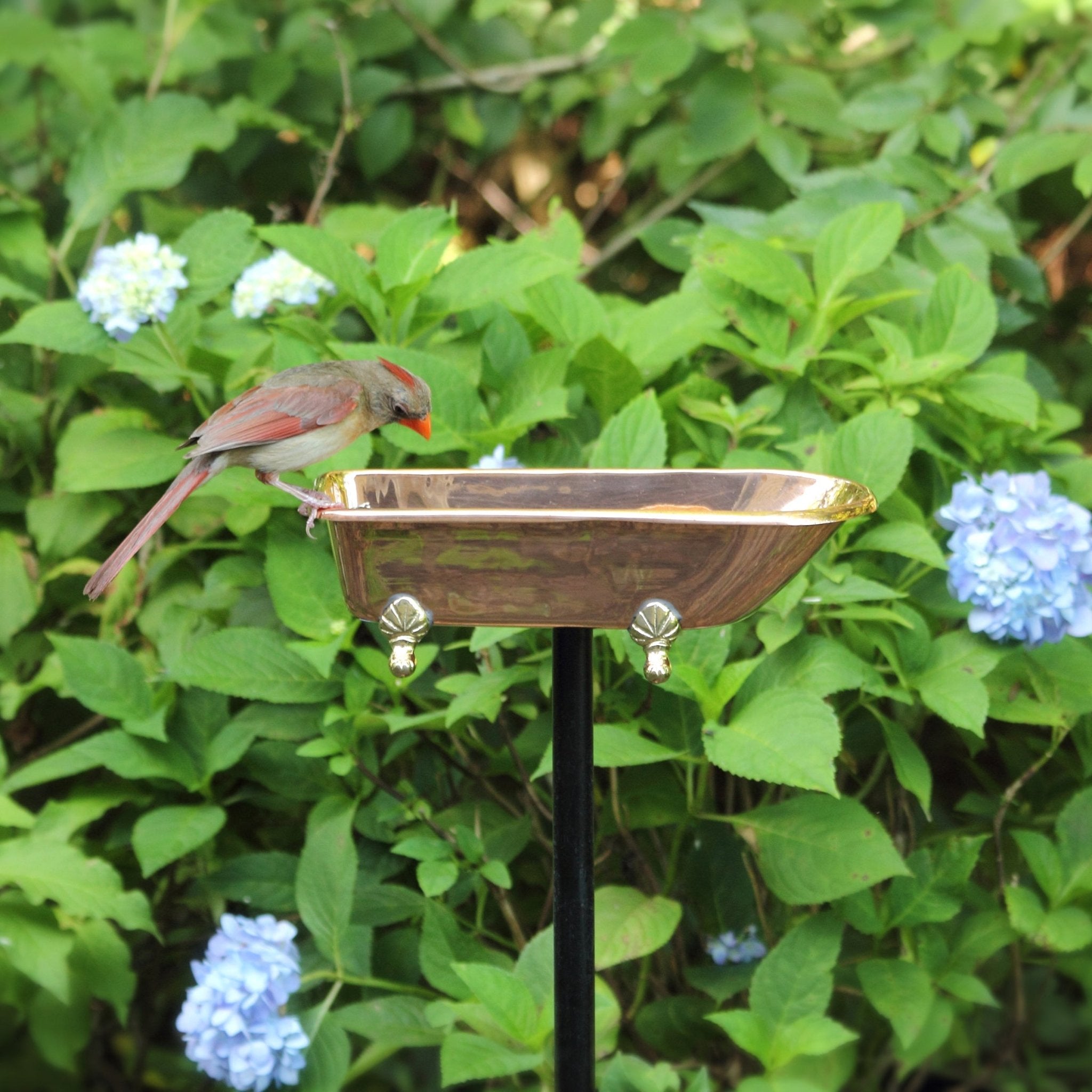Splish Splash Birdbath, Copper - Evira