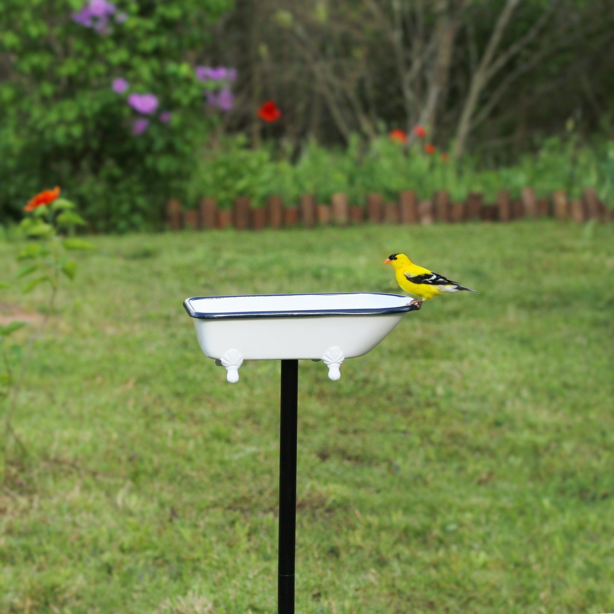 Splish Splash Birdbath, Brass - Evira