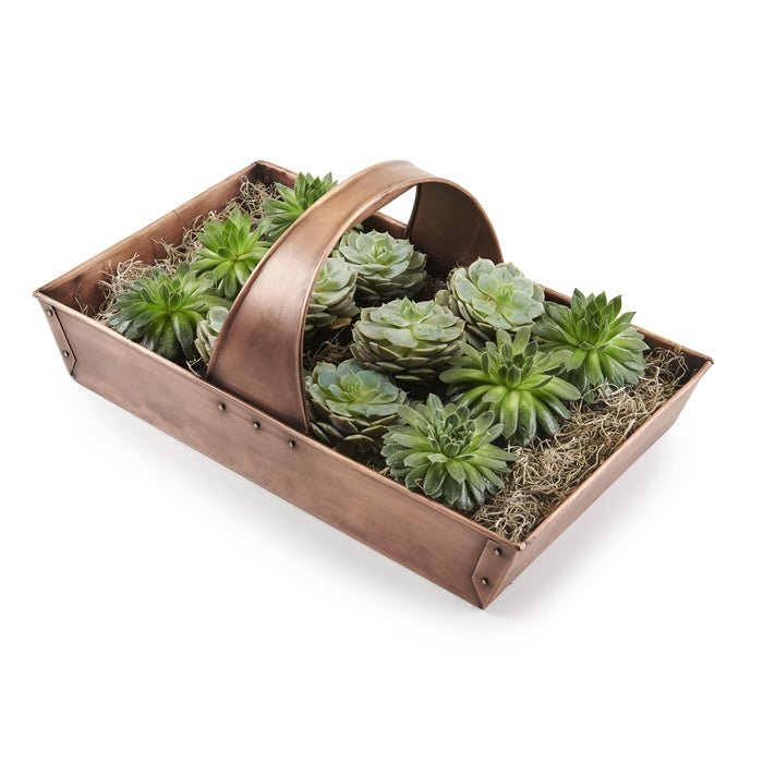 Large Garden Trug Basket - Evira